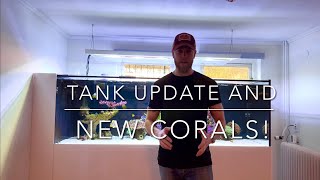 Adding the first new corals to the 1000L reef tank + quick update