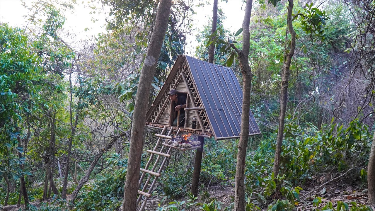 Build A-Frame Tree Shelter In Wildlife, Food Cooking - YouTube
