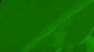 Requested 1995 20Th Century Fox Home Entertainment In Jamie Shaffers Effects In G Major 73