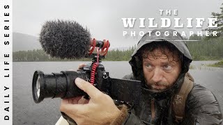 How I got The Impossible Shot  Gear, Techniques, Bird Photography