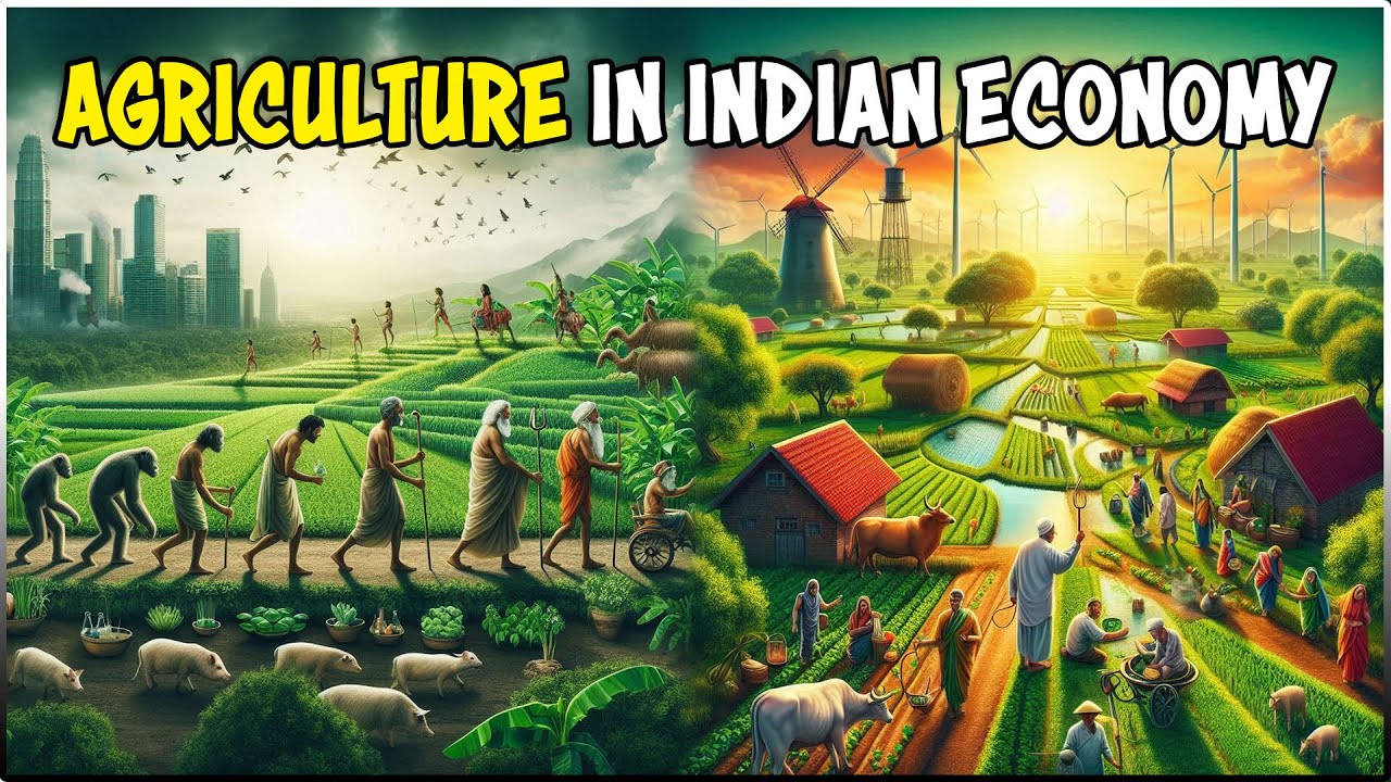 Contribution of Agriculture Sector in Indian Economy - YouTube