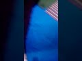 ذيك الطفلة يا ناس  