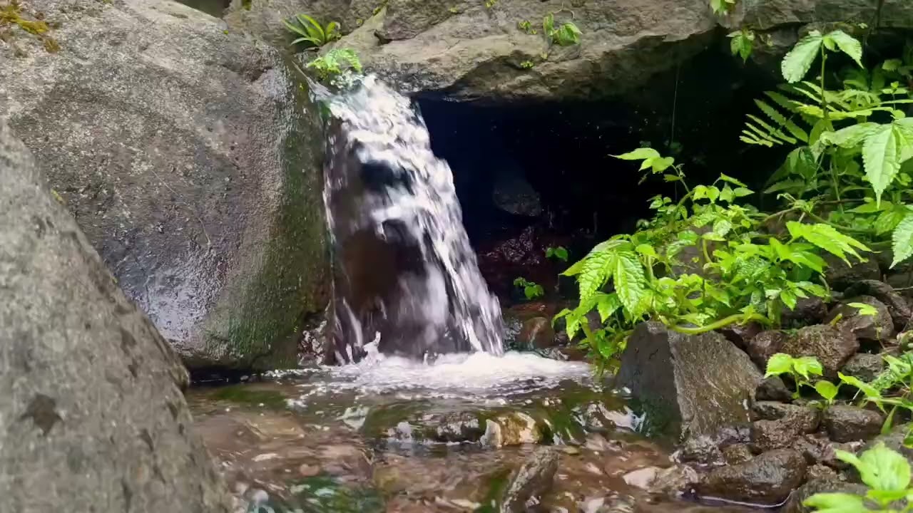 Peaceful River Sounds for Deep Sleep