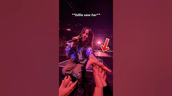 Billie Eilish Comforted the Fans Crying in the Crowd