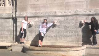 The Boston Commons