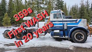 After sitting for 20 years it was time to wash the fungus off the Peterbilt 359