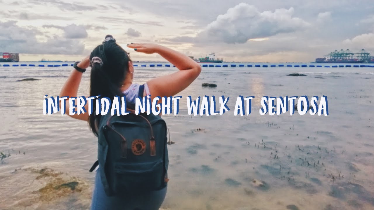 Intertidal Night Walk at Sentosa, Tanjong Rimau - YouTube