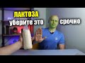 Лактоза – что это? Какой вред? Исключать молочку или нет?