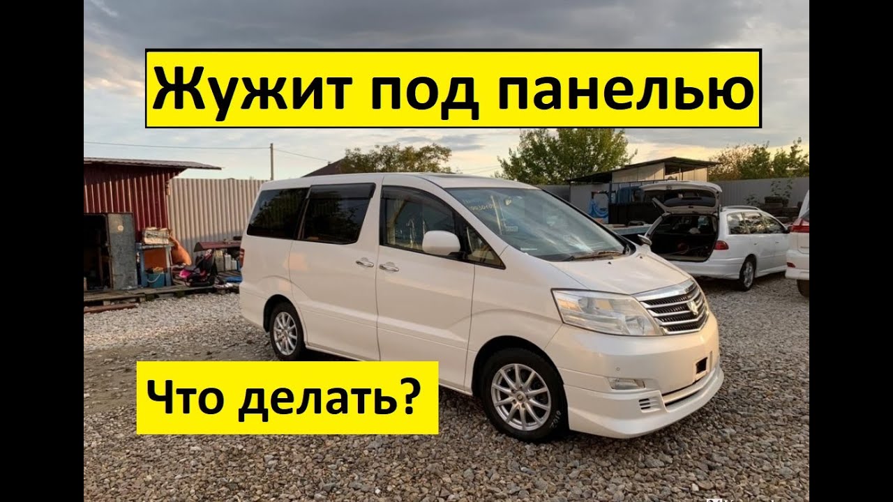Абсурд драйв тойота