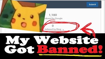Is Your Site Banned By Google/Bing? Check Website Indexed Pages