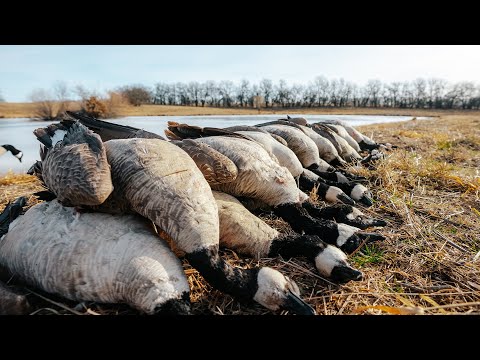 Limits on Geese IN ONE GO! (Last Pass S5: EP 10)