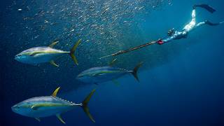 Traveling 1,000 Miles for ONE FISH...Was It Worth It?