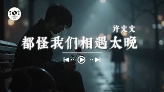 都怪我们相遇太晚-许文文 『都怪我们这辈子相遇太晚，错过你是我一生的遗憾』【🎧AI高质音乐/拼音动态歌词 Lyrics】 ENGLISH TRANSLATION INCLUDED
