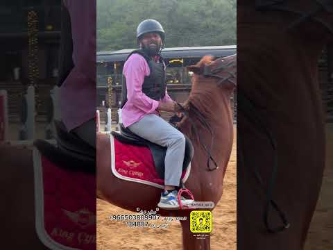 خيل وخيالة موسيقى الجوارح