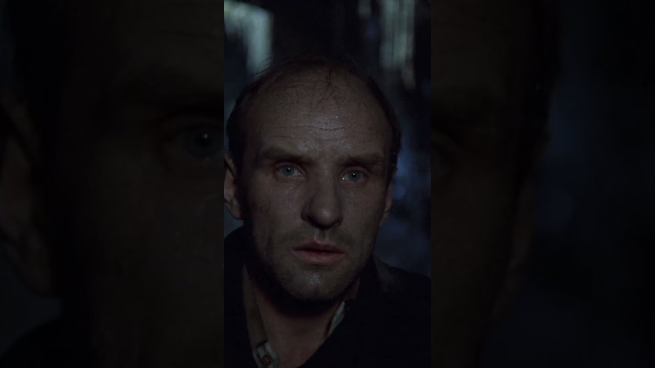 STALKER EXPLAINED True Meaning Of Andrei Tarkovsky S Masterpiece