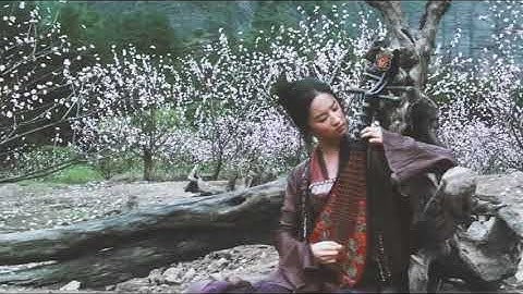 Những pha võ thuật đẹp mắt của Lưu Diệc Phi trong một số bộ phim.