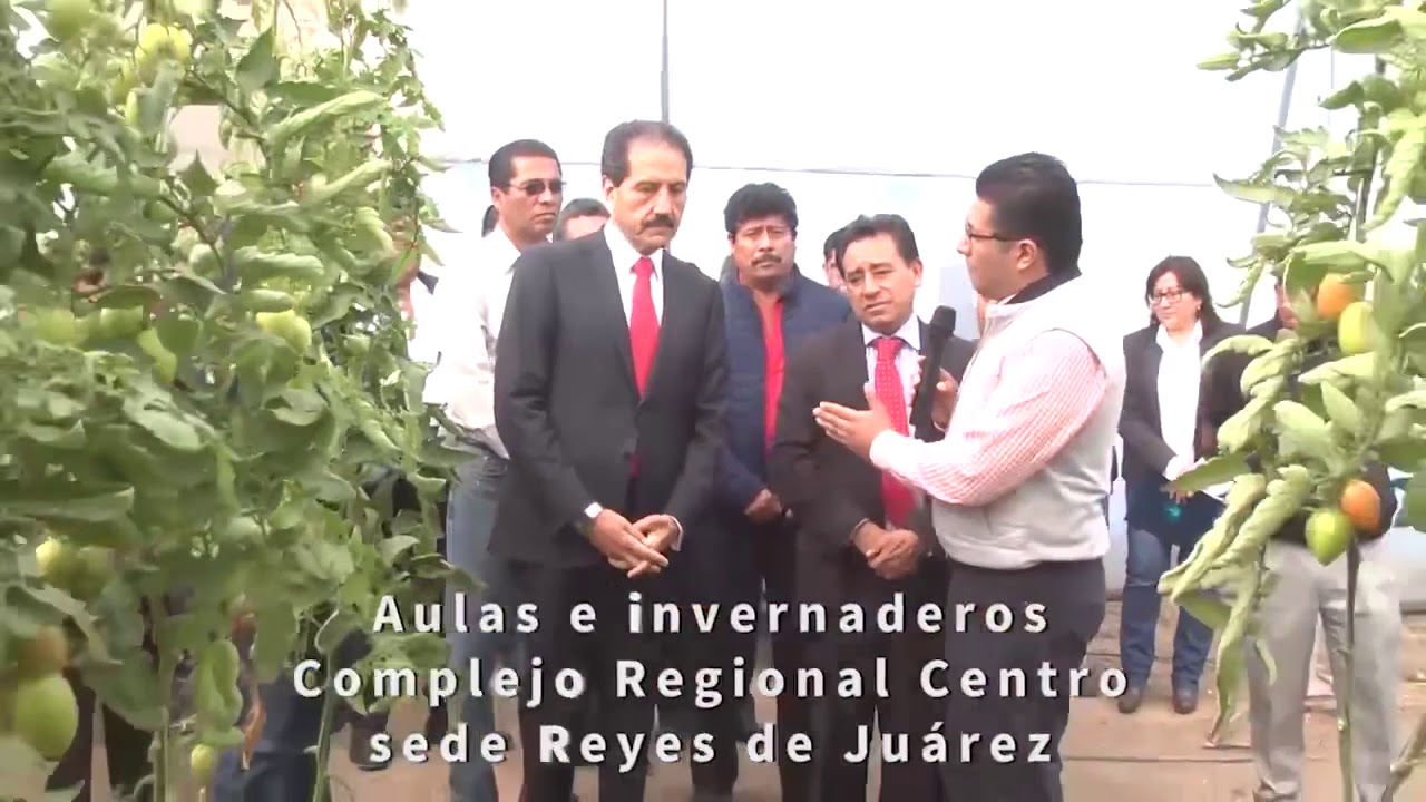 Infraestructura Complejos Regionales BUAP 2018