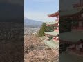 「庭先に入って写真撮影」富士山と五重塔で絶景スポット…観光客殺到で迷惑行為が急増　10年目「桜まつり」も中止決定　山梨・富士吉田市