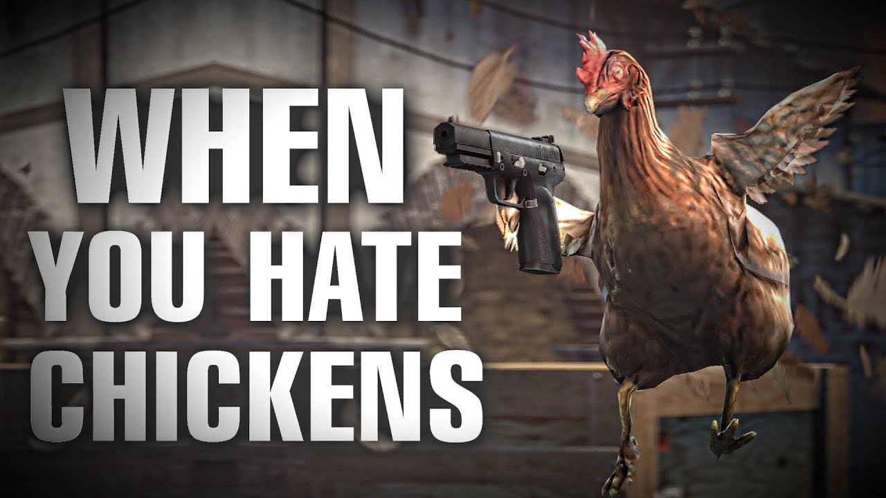 WHEN YOU HATE CHICKENS (CS:GO)