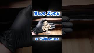 Blue Zushi Gegrowt Von 420Lexikon