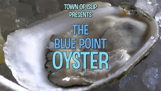 The Blue Point Oyster