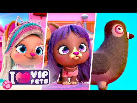 VIP Pets-ის ინფლუენსერები | VIP PETS 🌈 ვიაპი ფეთს 🌈 სრული ეპიზოდები 💇🏼 მულტფილმები ქართულად