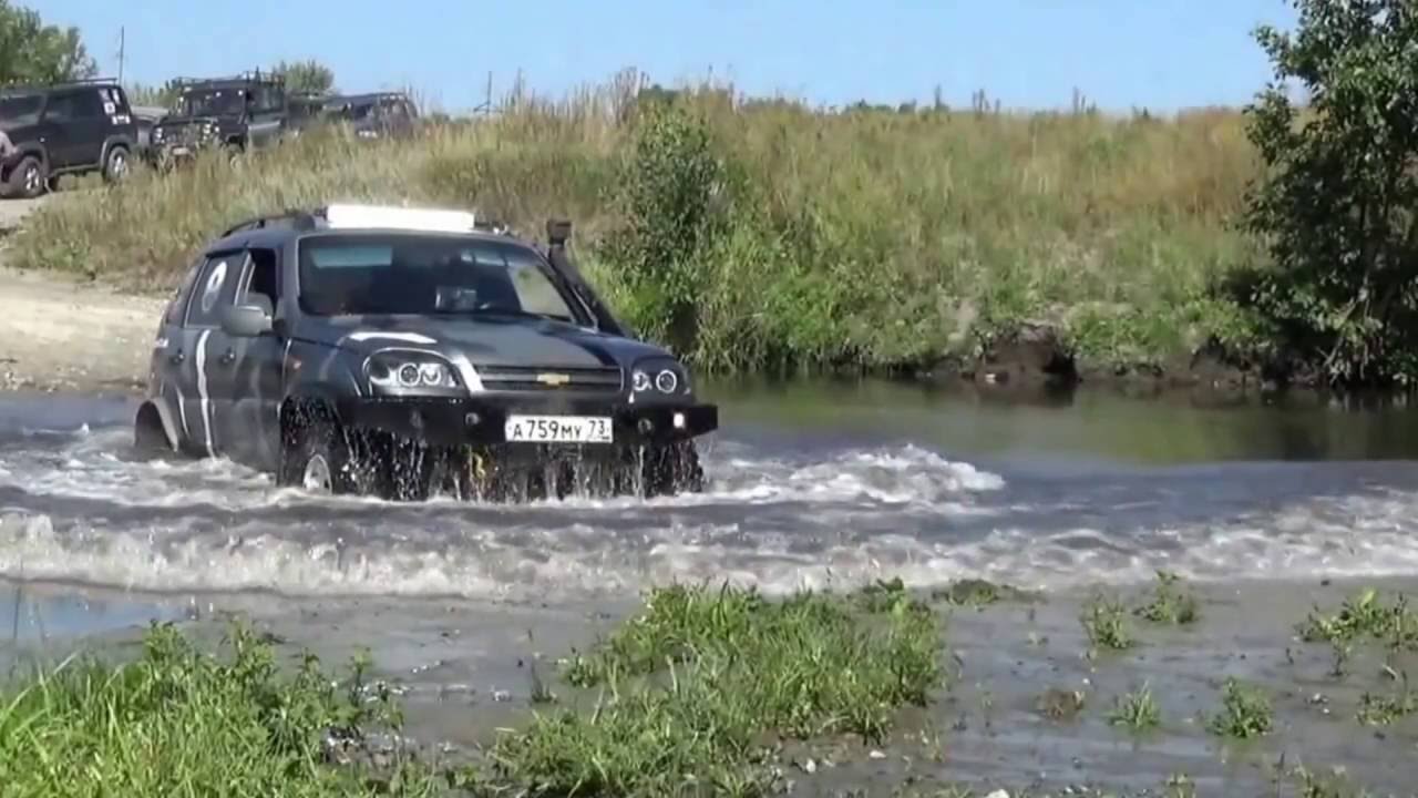 Шнива или нива