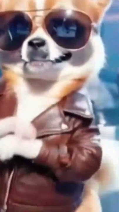 Download lagu sor 9 ry MTV