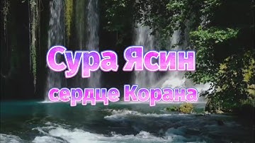 🔊 Сура Ясин 7 раз سورة يس  слушайте в любое время суток - успокаивает душу!