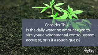 How to Right-Size an Environmental Control System for Your Indoor Cannabis Grow