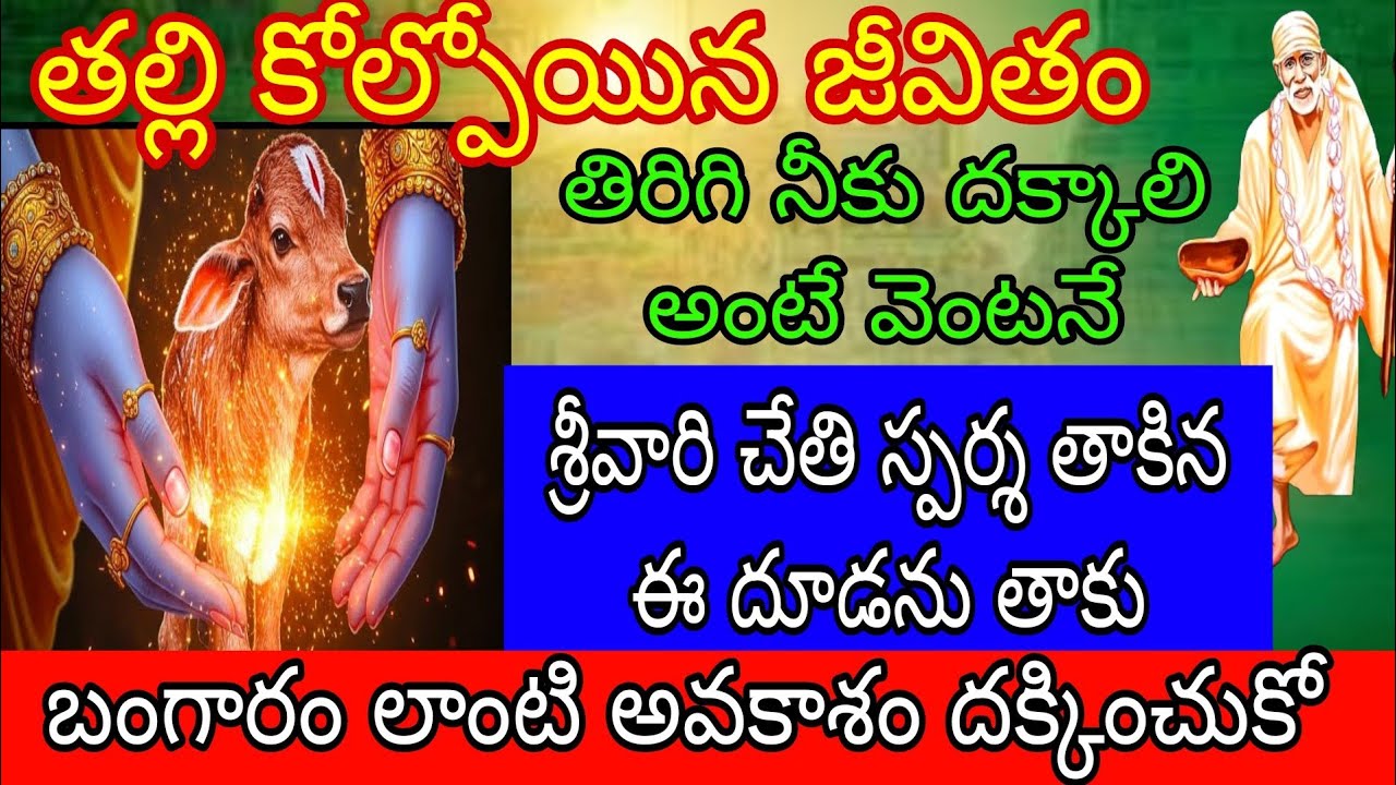 తల్లి కోల్పోయిన జీవితం తిరిగి నీకు దక్కాలి అంటే వెంటనే శ్రీవారి చేతి స్పర్శ తాకిన బంగారంలాంటి అవకాశం