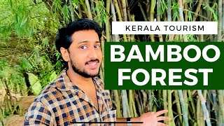 Bamboo Forest Sasthamcotta Kollam Beautiful Location Kerala Tourism Sasthamkotta Lake