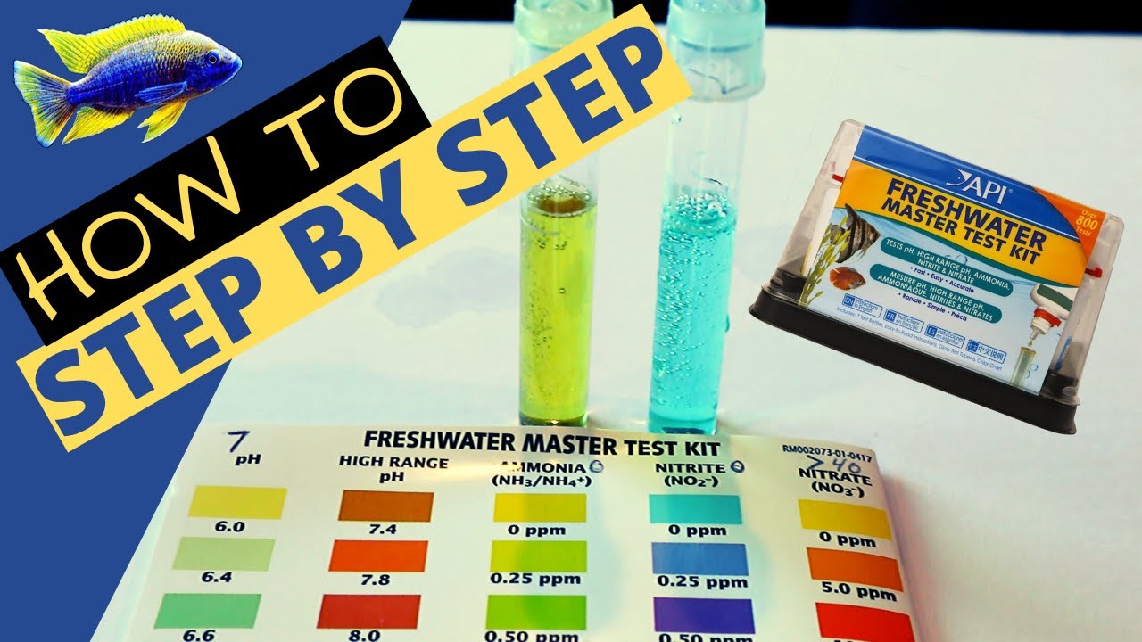 Api Freshwater Aquarium Master Test Kit - (Step By Step Guide) - Youtube