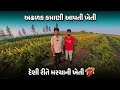 મરચીની ખેતીમાં મબલખ ઉત્પાદન મેળવવાની ટિપ્સ | Marchi Kheti Gujarati