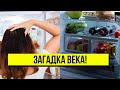 Загадка века! Это знают единицы – секрет холодильника: хозяйки ликуют. Знать всем!