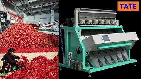 Fabricantes de máquinas de classificação de cores de pimentão Fornecedores em Portugal Brasil Angola