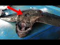 10 Strangest Creatures Ever Caught!