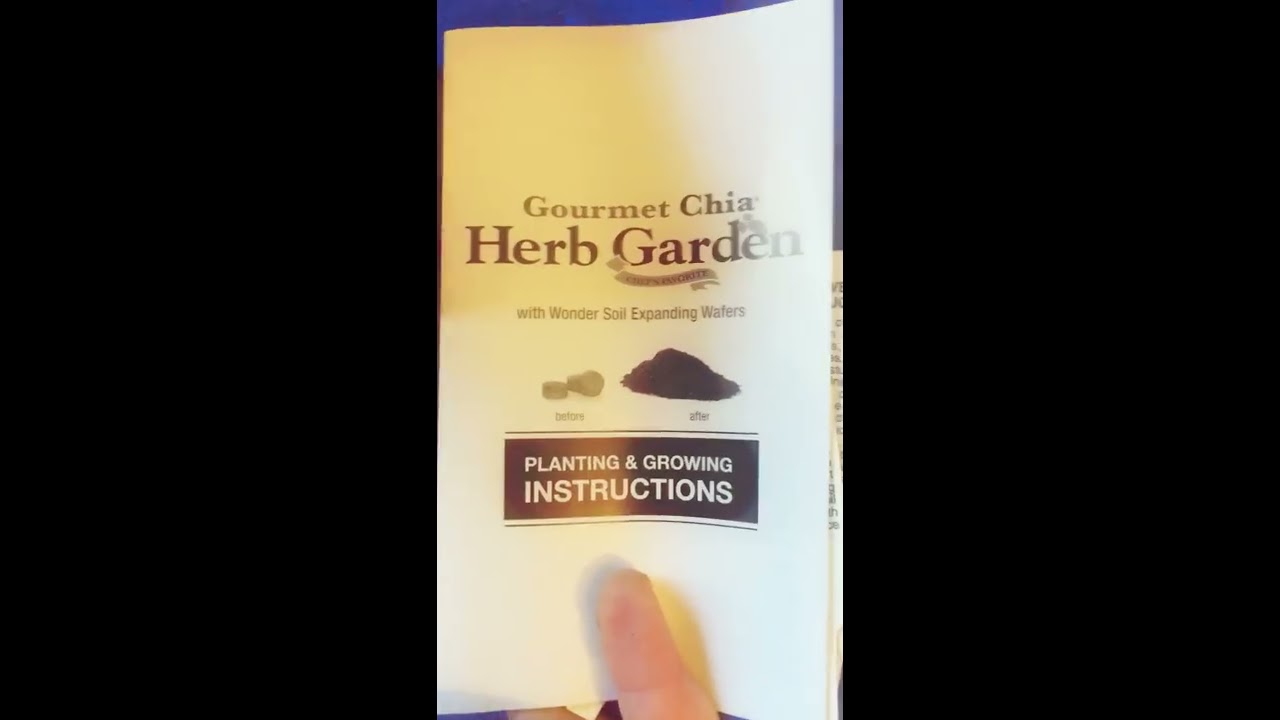 Growing A Chia Herb Garden Youtube