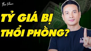 RỦI RO TỶ GIÁ ĐANG BỊ THỔI PHỒNG VÔ LÝ. VÌ SAO?