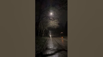 إِنِّي أَخَافُ إِنْ عَصَيْتُ رَبِّي عَذَابَ يَوْمٍ عَظِيمٍ | #سورة_الزمر 