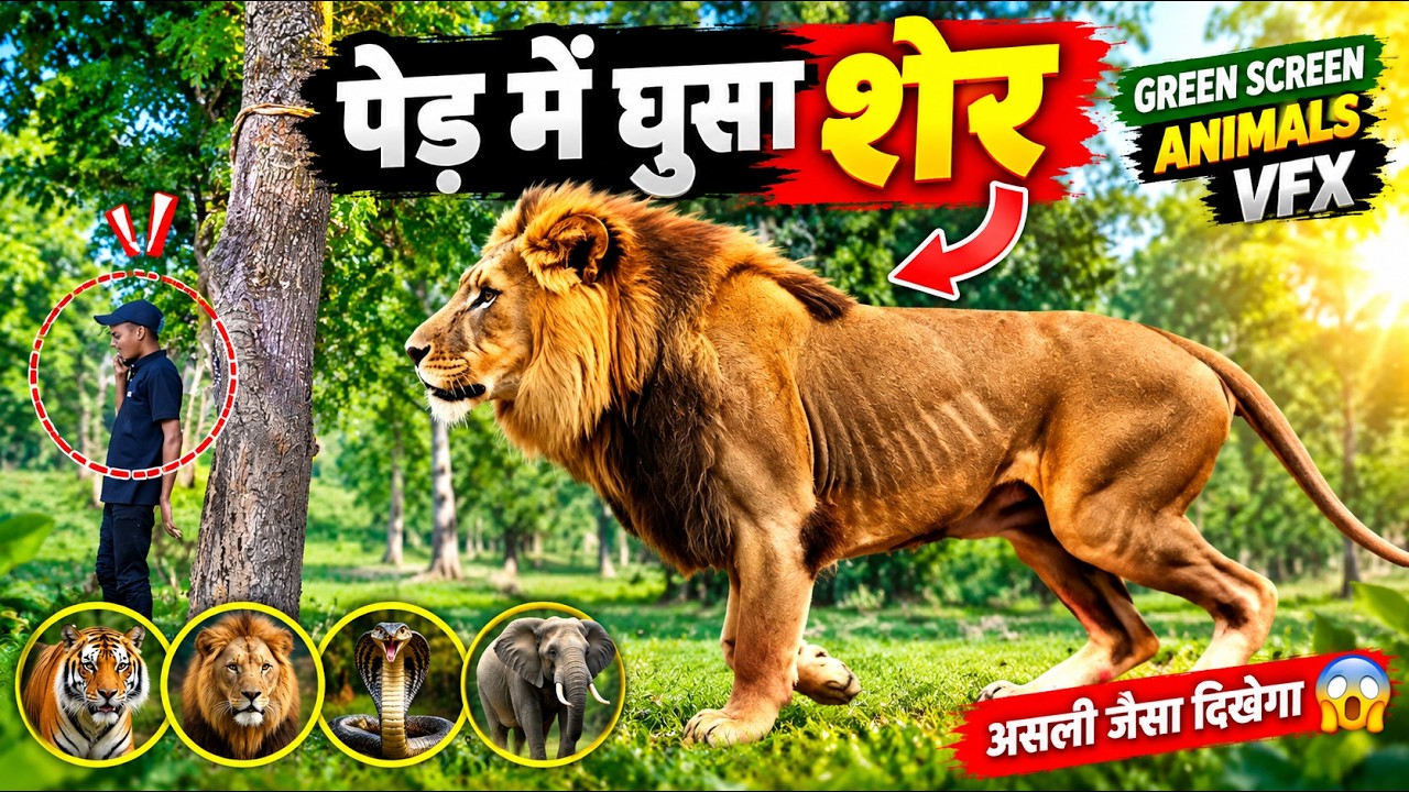 😱 जंगल के पेड़ में छिपे खतरनाक जानवर! 🐅🐍 | Green Screen Animal VFX ...