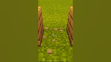 minecraft loop #shorts