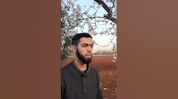راحة و طمأنينة القارئ أحمد دياب #قرآن #أحمد_دياب #المنشاوي