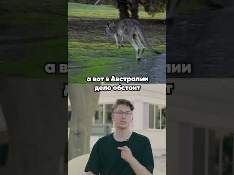 🇬🇧🇺🇸 А ты знаешь страны, где английский является государственным языком?