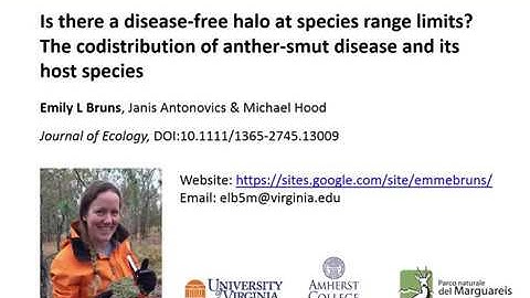 Emily Bruns - Frequency-dependent disease transmission can affect host distribution!