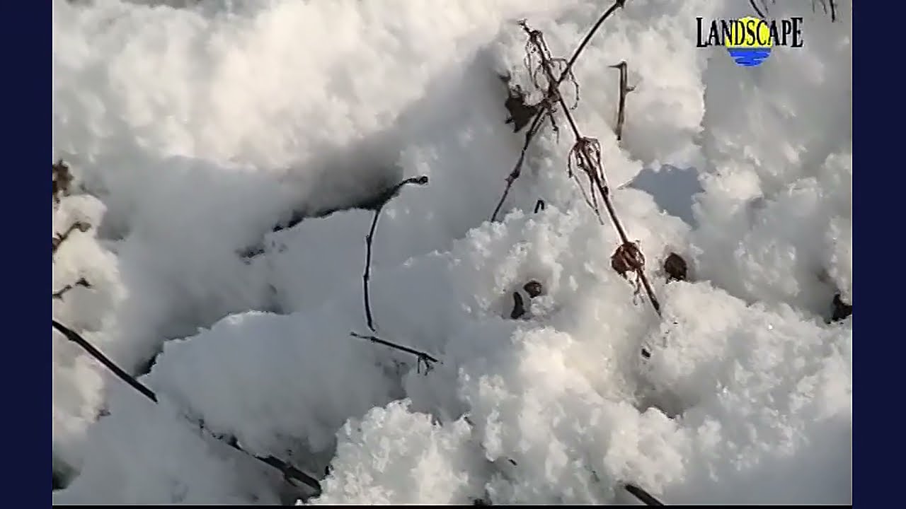 John Themis - Don’t Wake the Dragon George (Art Of Landscape)