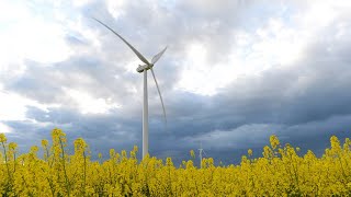 Стимулиране на сектора на възобновяемата енергия в Европа