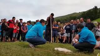 Rayar el palu ( San Roque de Riomiera) Cantabria 2019