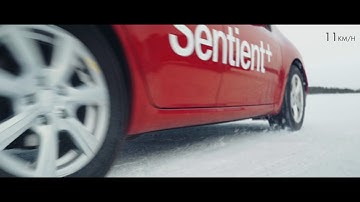 Sentient - The Lane Change, Episode II