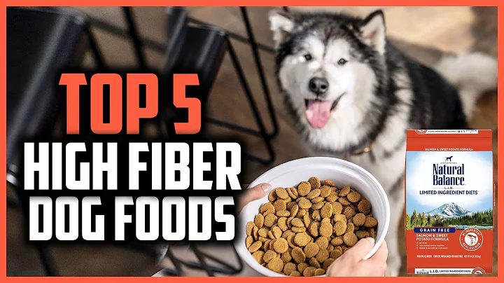 ✅Top 5 Best High Fiber Dog Foods of 2024